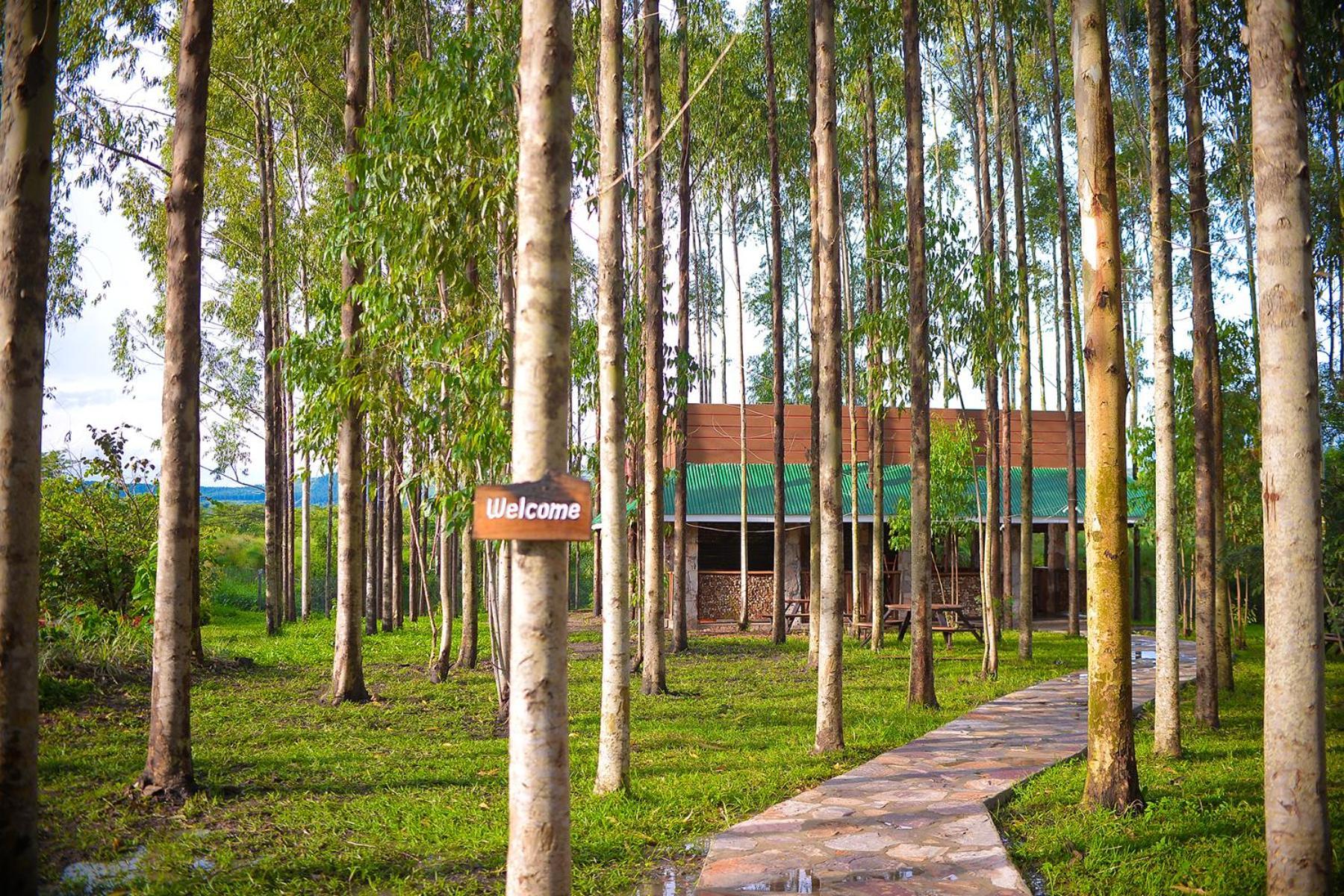 Kabalega Resort - Masindi Exteriör bild