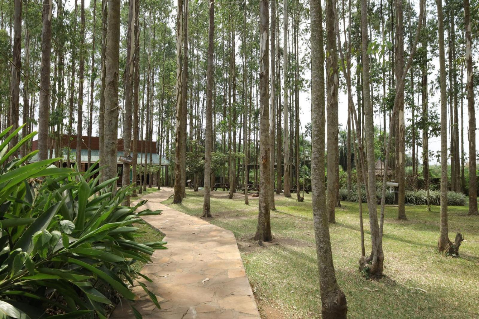 Kabalega Resort - Masindi Exteriör bild